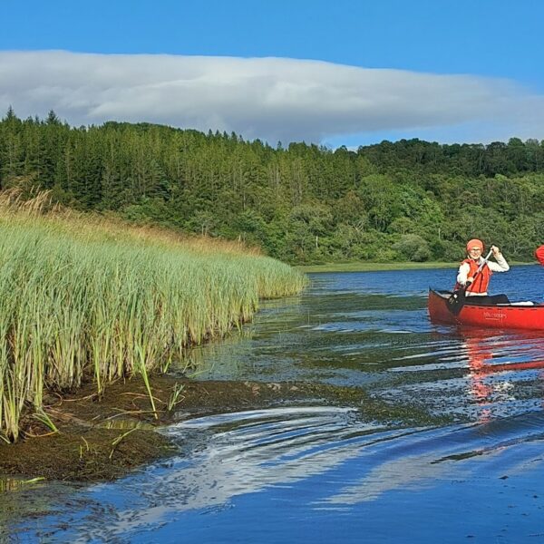 Canoeing on sunny day, Go Wild Highlands, Lairg