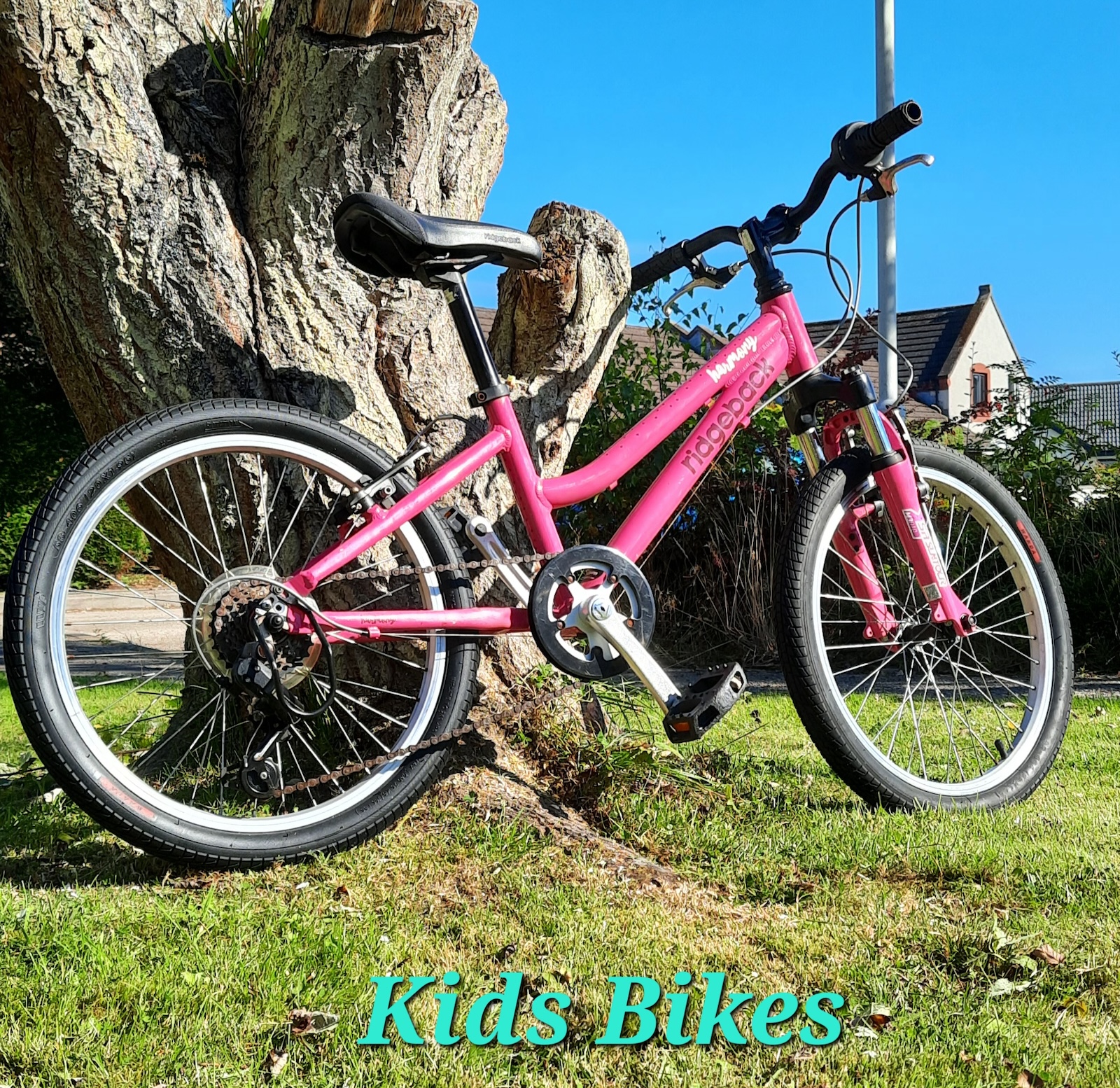 Pink child's bike against tree on sunny day, Dornoch Bike Hire