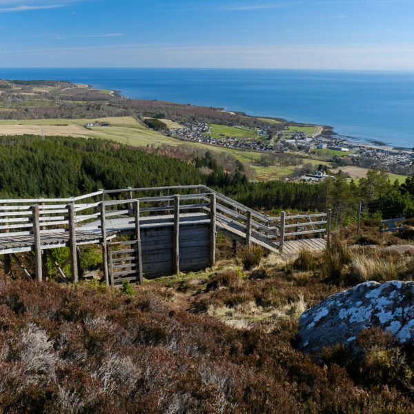 View down hill towards north sea from Wildcat mountain bike trails, Ben Bhraggie, Golspie, Sutherland