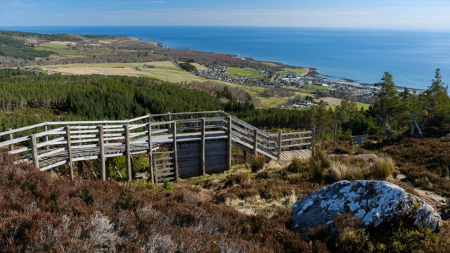 Highland Wildcat MTB Trails