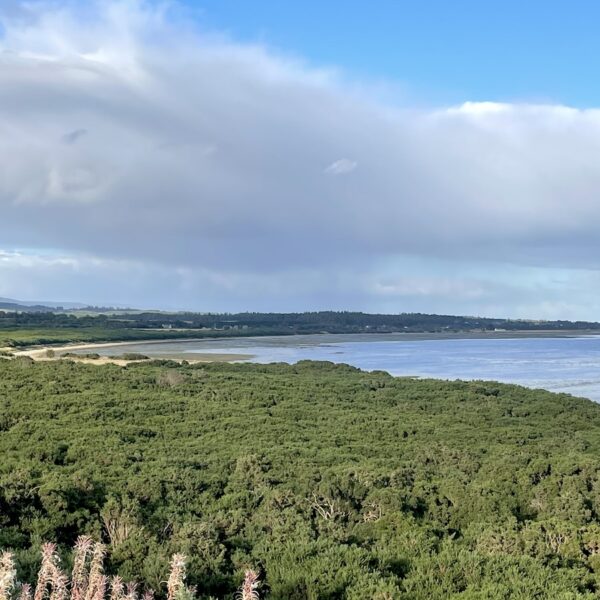 Cuthill Links, Dornoch Bridge