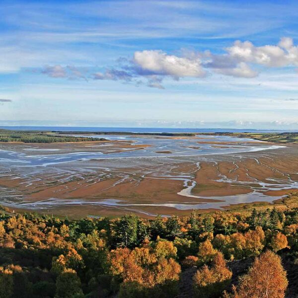 View east over Loch Fleet at low tide