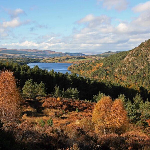 View west over Loch Migdale towards Bonar Bridge