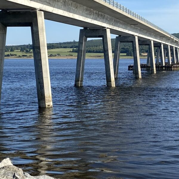 Underneath Dornoch Bridge