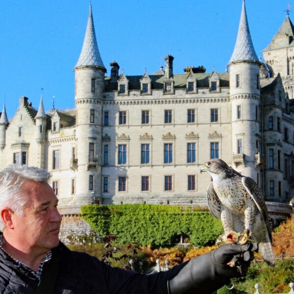 Dunrobin Castle with falconer