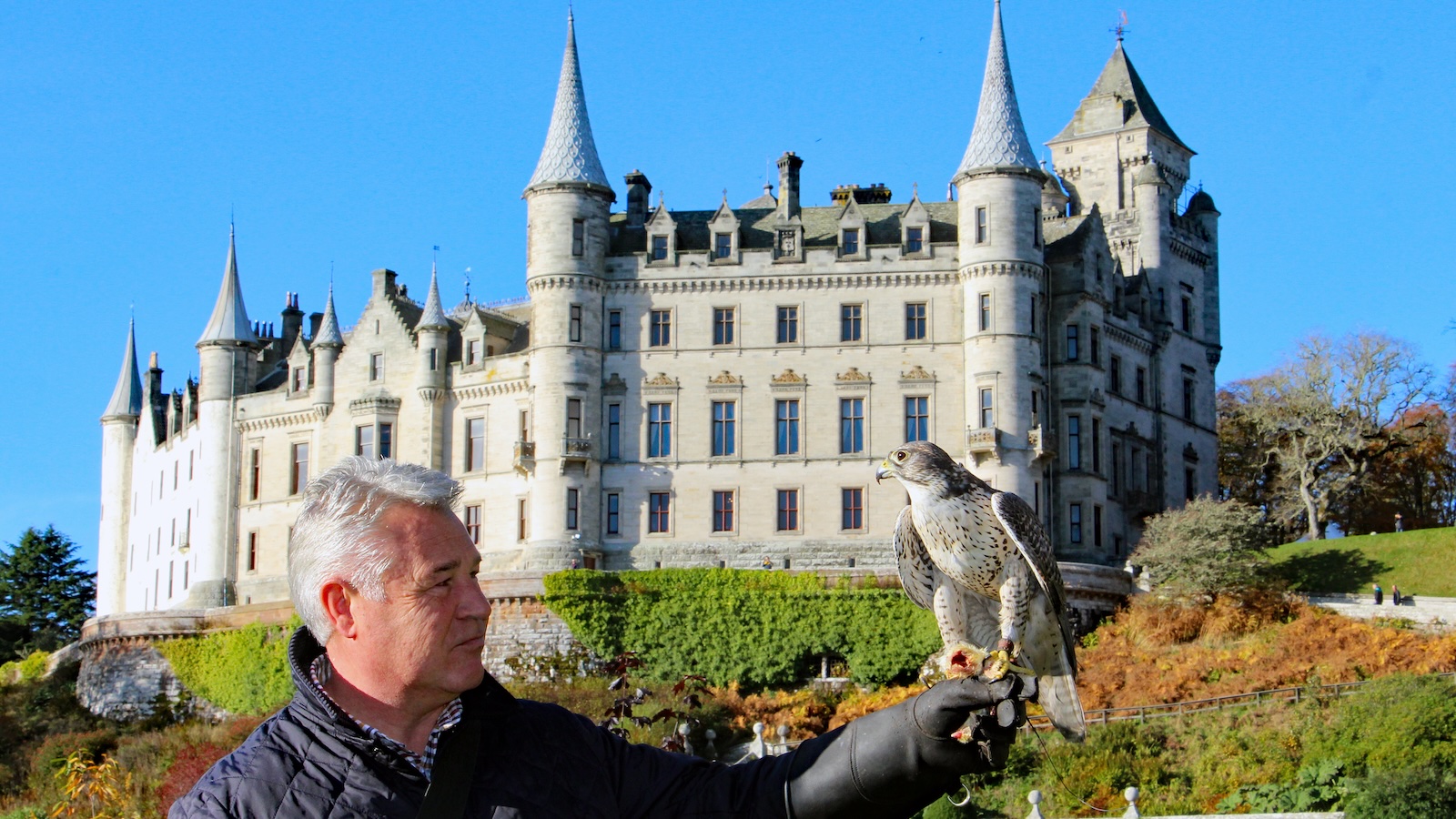 Dunrobin Castle with falconer