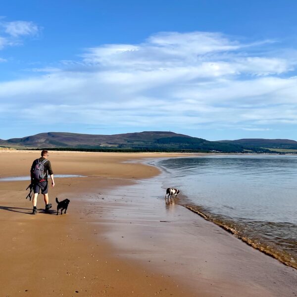 Man walking with two dogs on Embo beach, sunny day