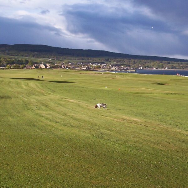 Golspie Golf Club