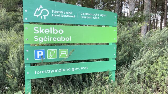 Skelbo Forest Walk