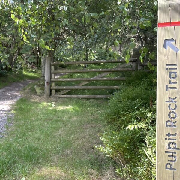 Pulpit Rock trail signpost at Tain Hill forestry walk