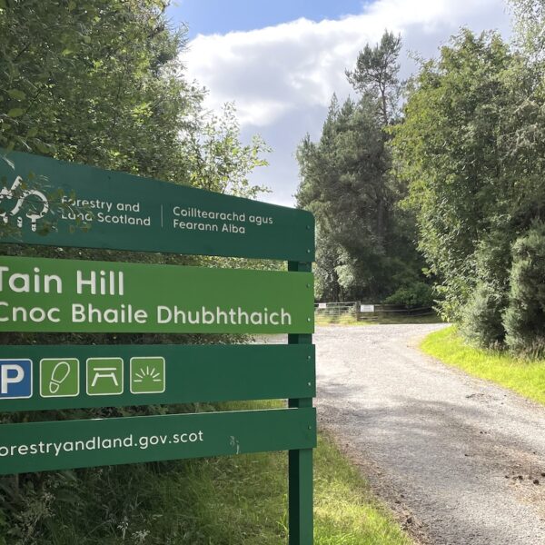 Tain Hill forestry walk sign