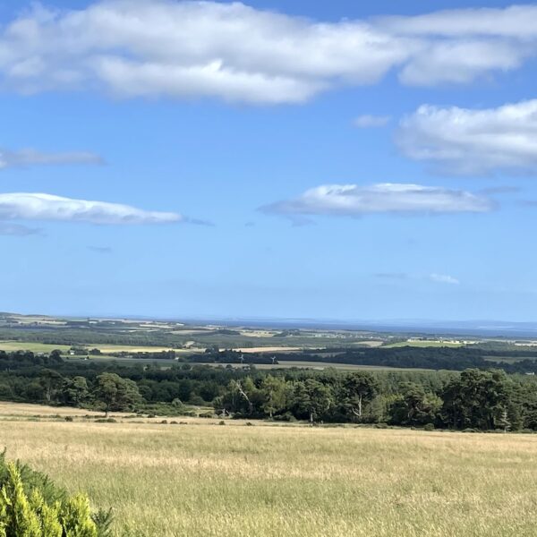 View east towards Portmahomack from Tain Hill on sunny day