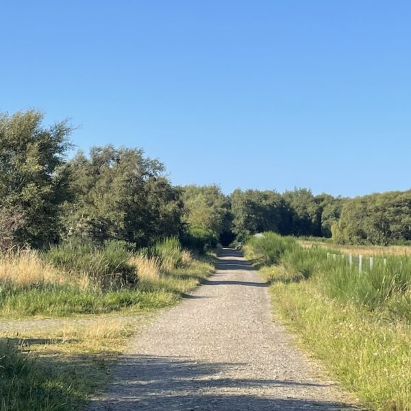 Embo via the Old Railway Line