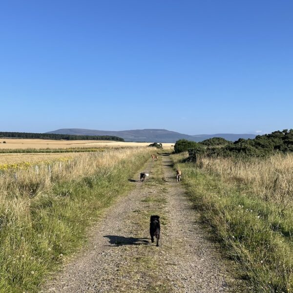 Embo via the Old Railway Line