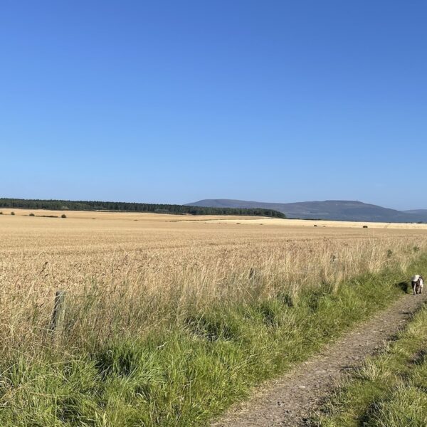 Embo via the Old Railway Line