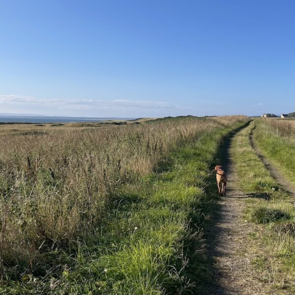 Embo via the Old Railway Line