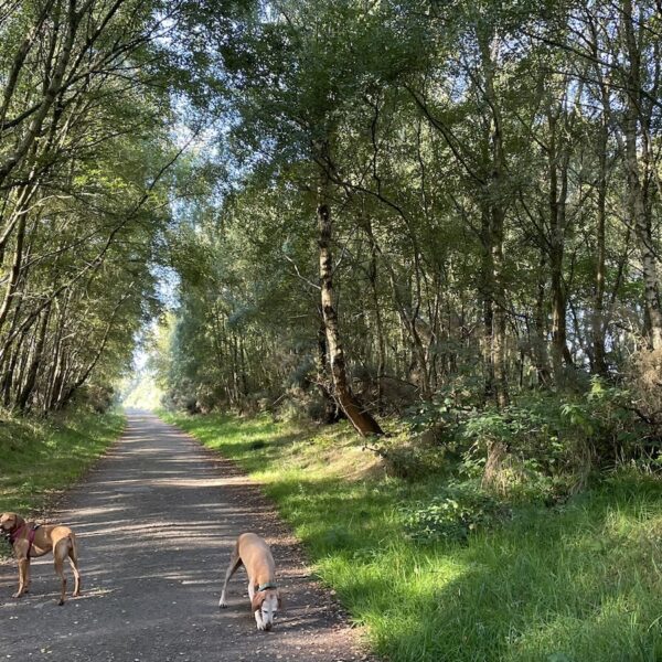 Embo via the Old Railway Line