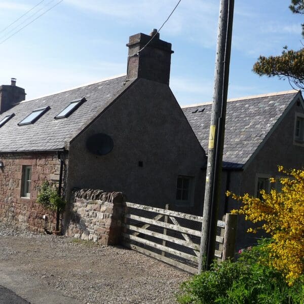 Front exterior of Farthingworth holiday rental home, Skelbo, Dornoch with gorse bush in bloom