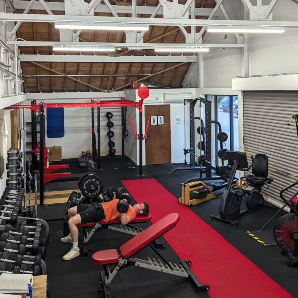 Silverback gym interior