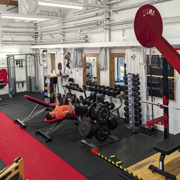 Silverback Gym interior with mural of gorilla