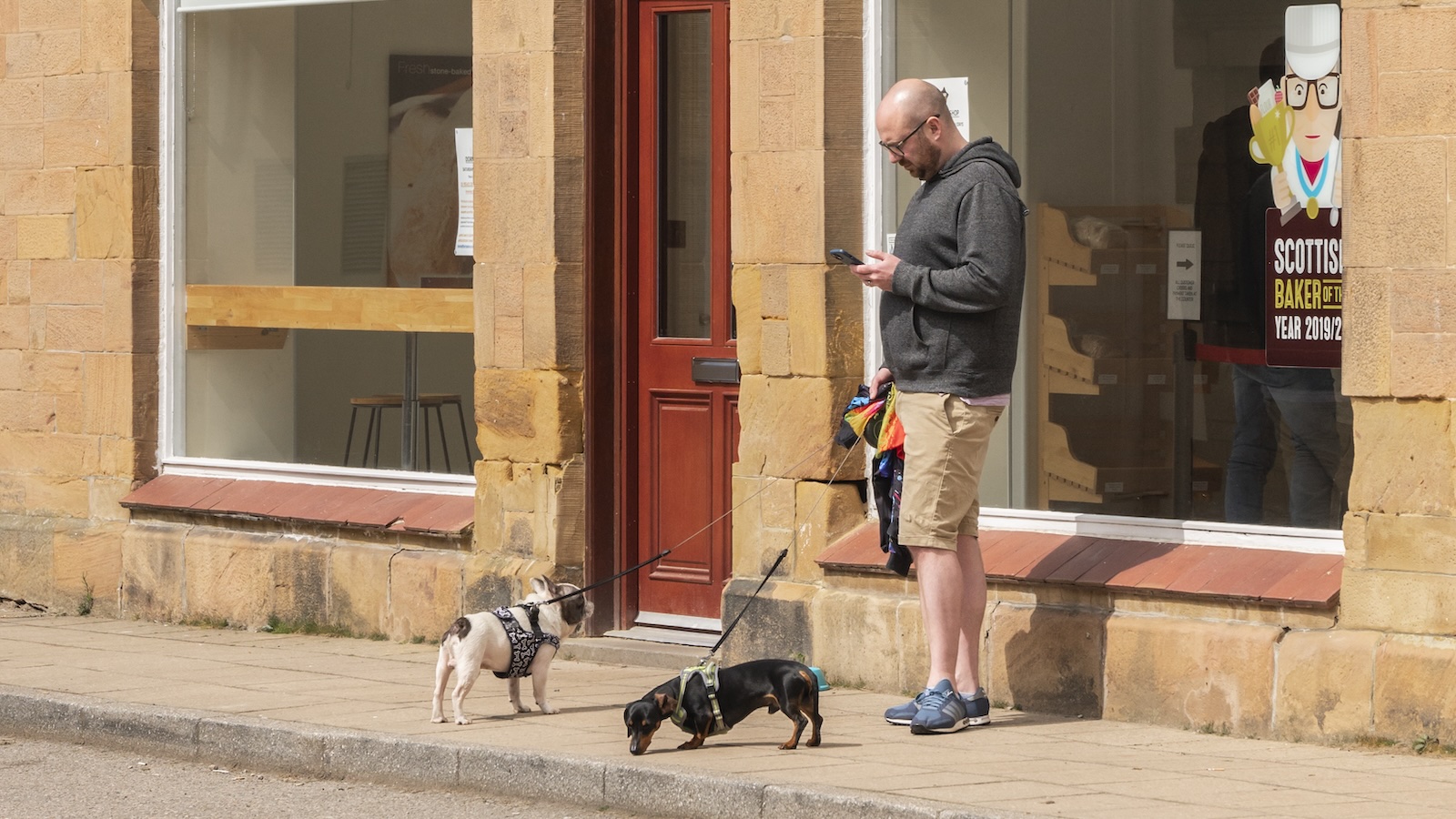 Two small dogs outside Harry Gow bakery, Dornoch