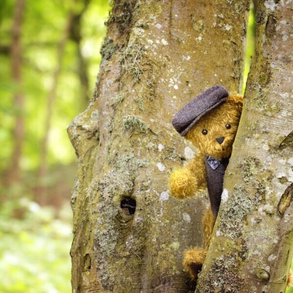 Winston the teddy bear in tree