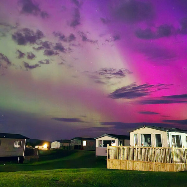 Dornoch Caravan Park 10