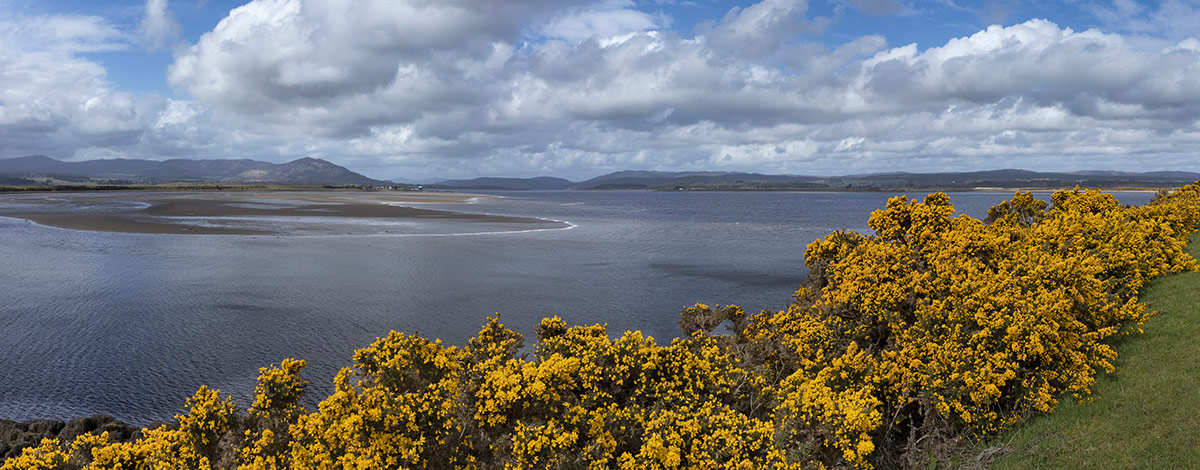 View of Dornoch Firth