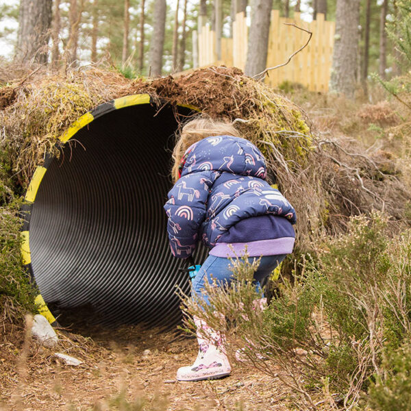 Dragon Hunting Dornoch