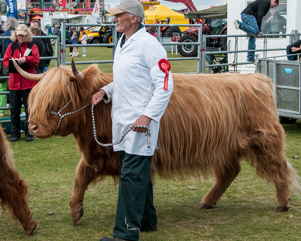 Annual County Show