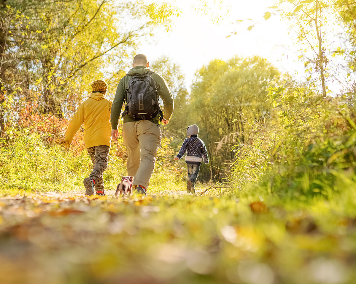 Family-Friendly Trails