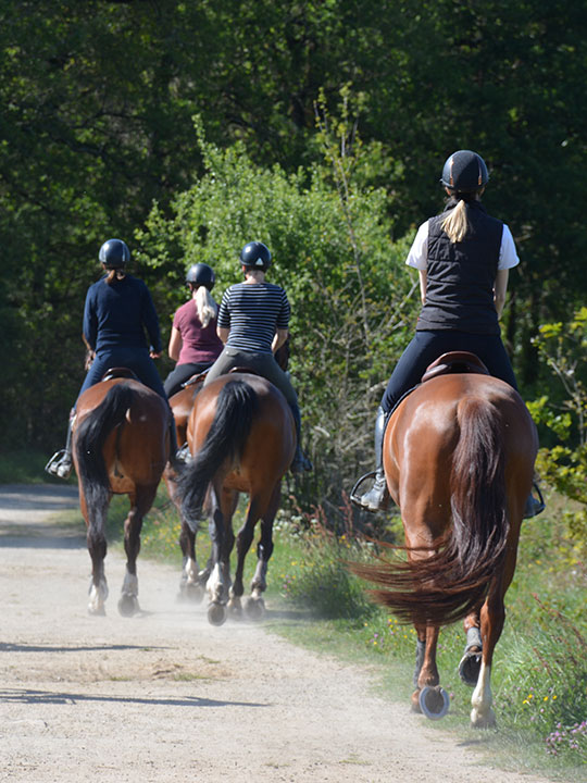 Horse Riding