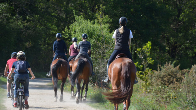 Achavandra Stables