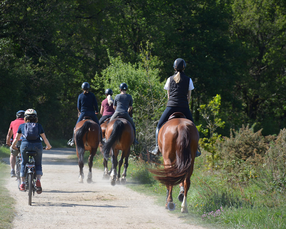 Cycling & Horse Riding